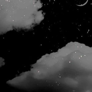 Meet your Posher, Tracey